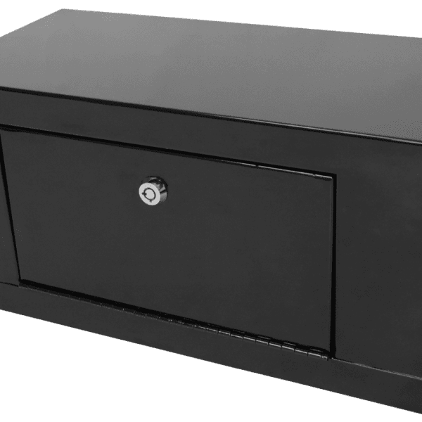 Gun Gun Safe Free Shipping on Orders 100+